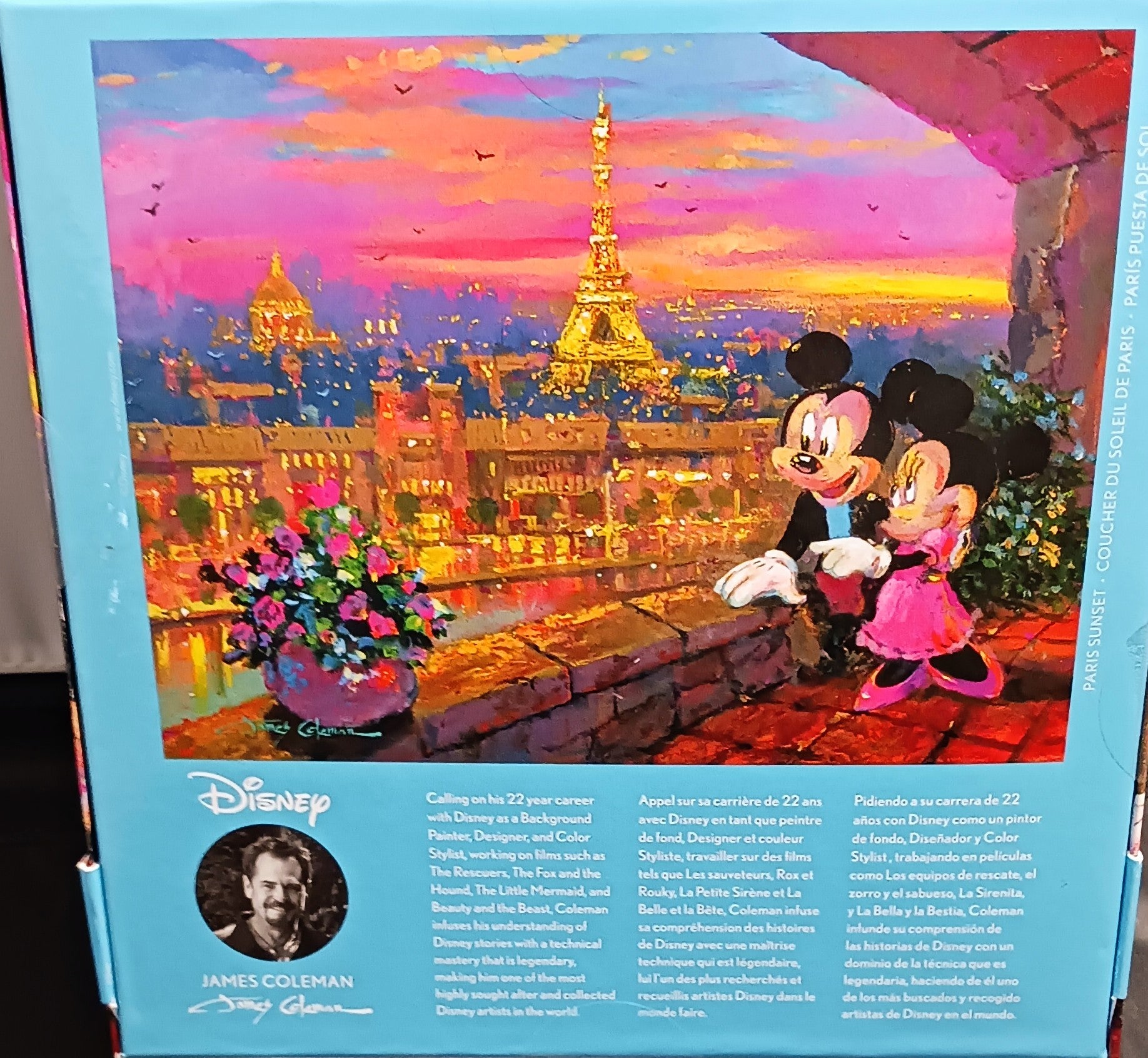 Ceaco Disney Paris Sunset 1000-Piece Puzzle