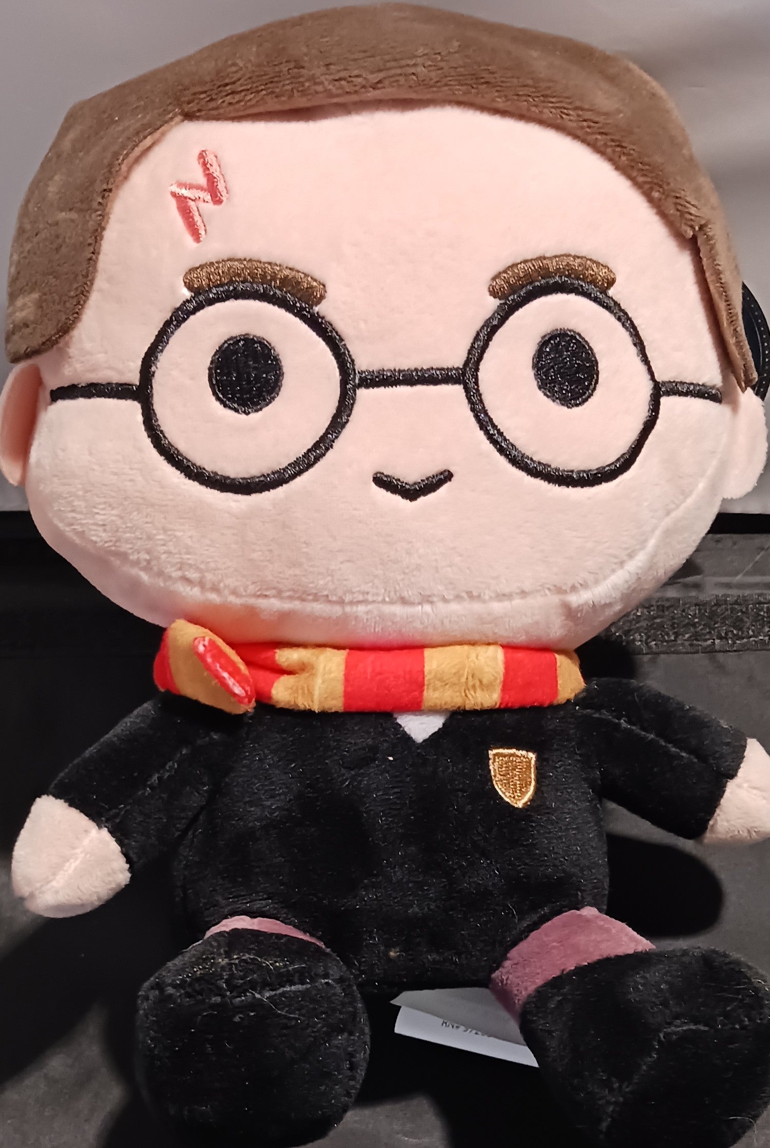 Harry Potter 8" Plush Coin Bank