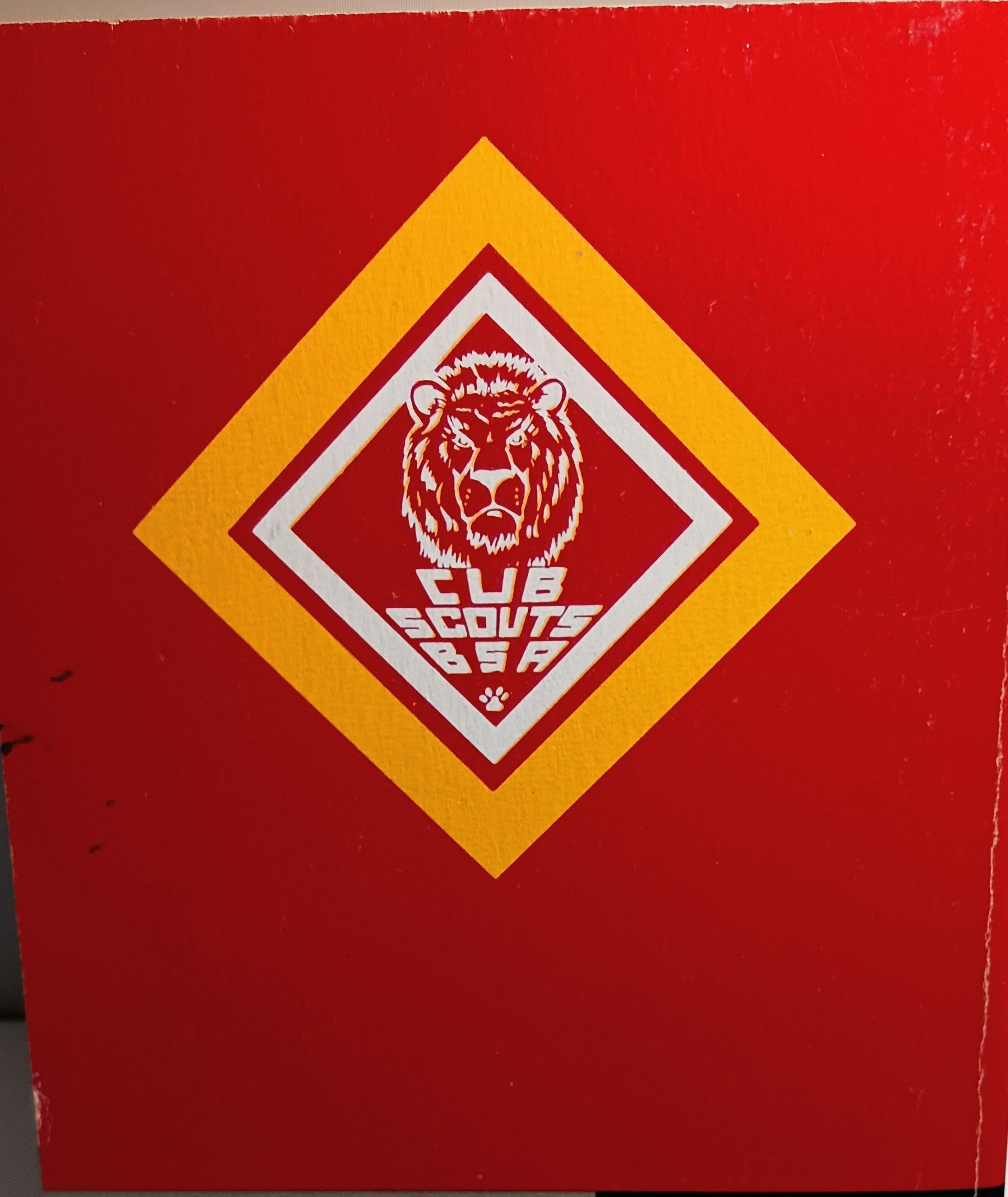 Lions-Webelos Cub Scout